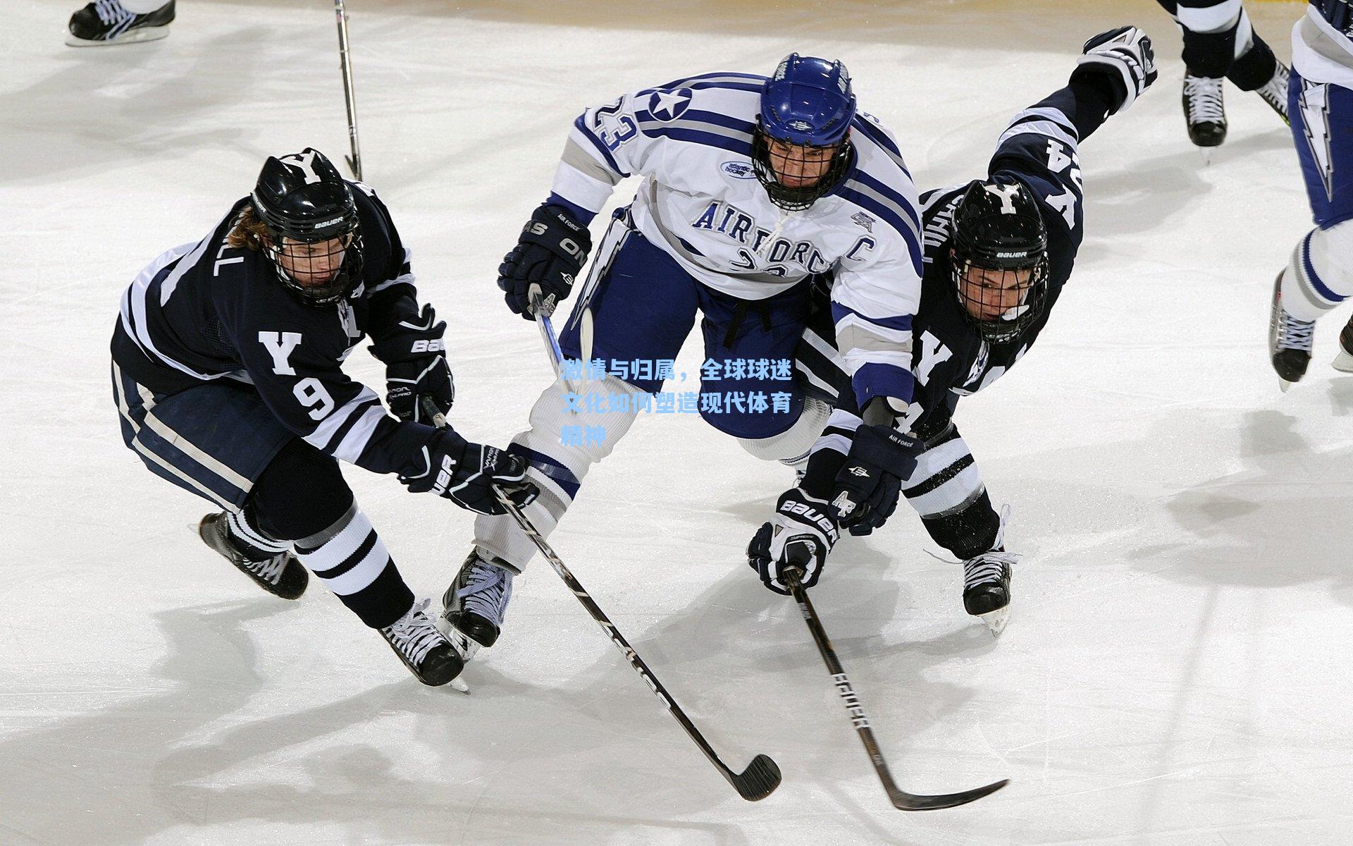 激情与归属，全球球迷文化如何塑造现代体育精神